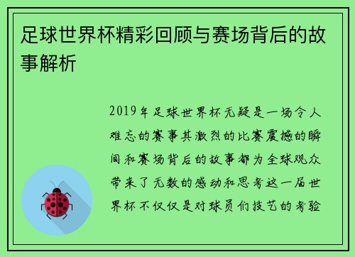 足球世界杯精彩回顾与赛场背后的故事解析